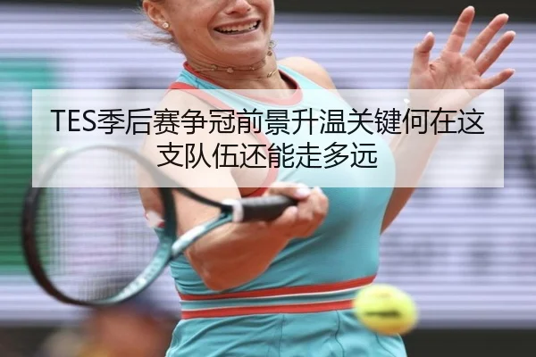 TES季后赛争冠前景升温关键何在这支队伍还能走多远 - biwin